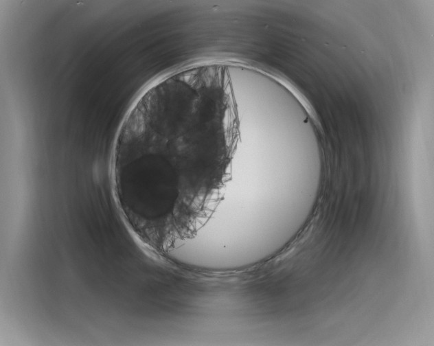 X0000115850861200911131125