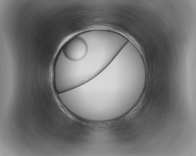 X0000115850862200911131125