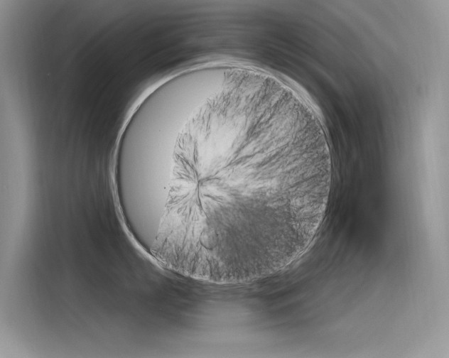X0000115850863200911131125