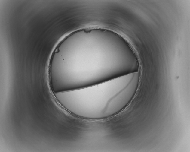 X0000115850864200911131125