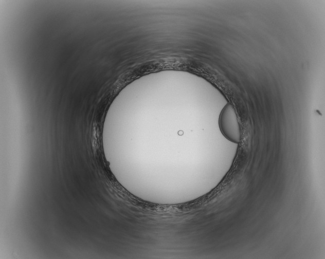 X0000115850866200911131124