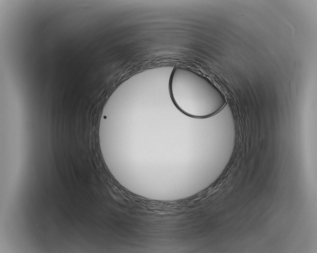 X0000115850868200911131124