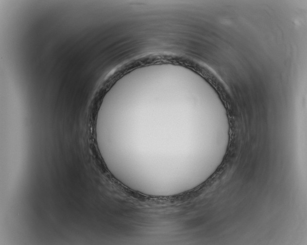 X0000115850871200911131124