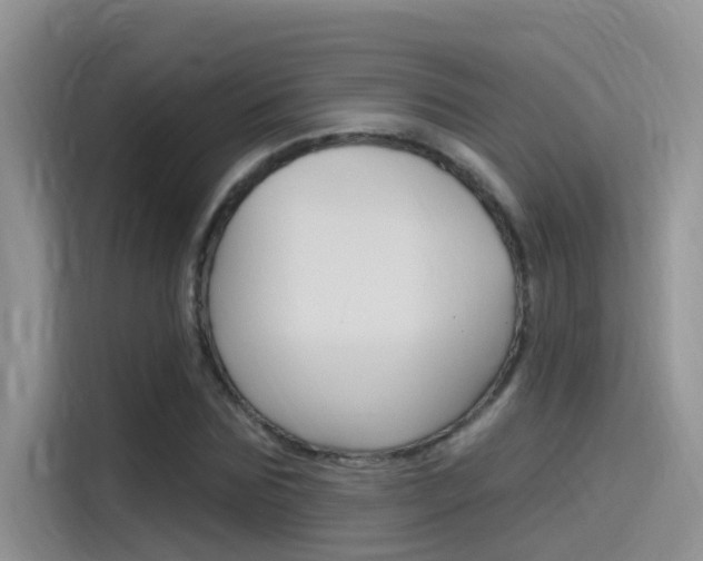 X0000115850875200911131124
