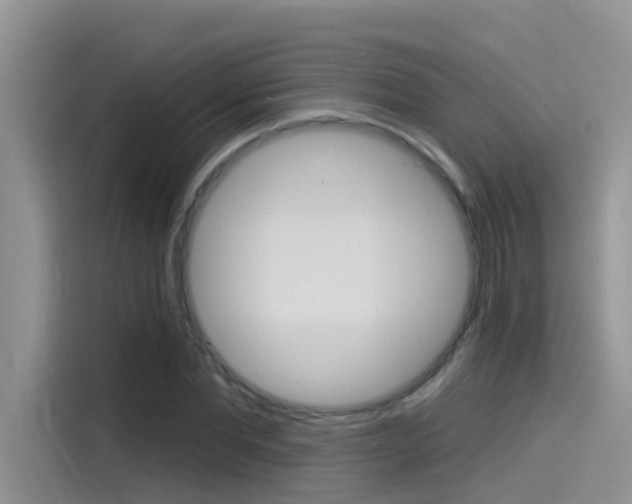 X0000115850877200911131124