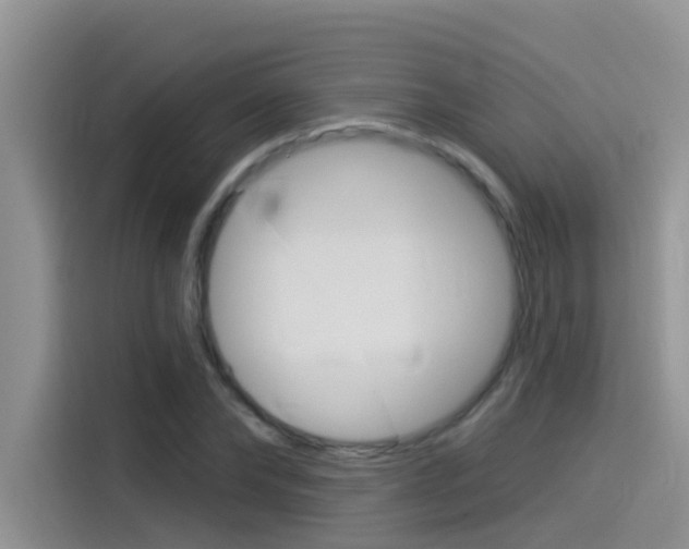 X0000115850878200911131124