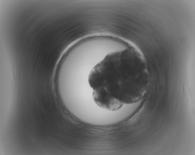 X0000115850879200911131124