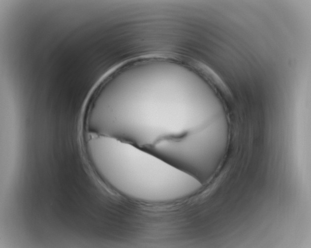 X0000115850884200911131124