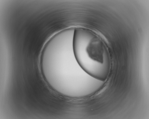 X0000115850885200911131124