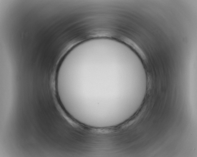 X0000115850890200911131124