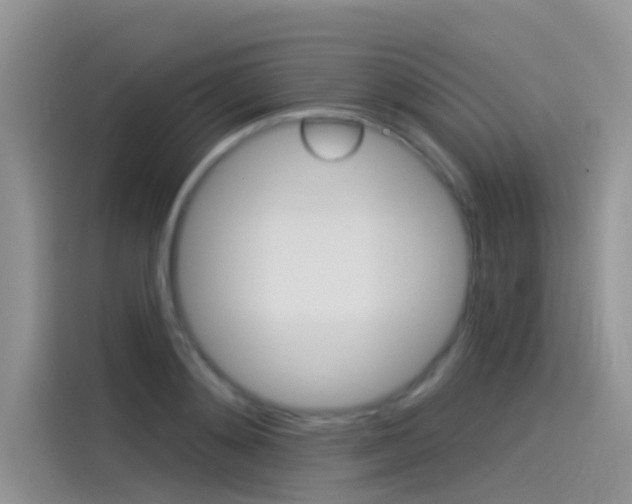 X0000115850892200911131124