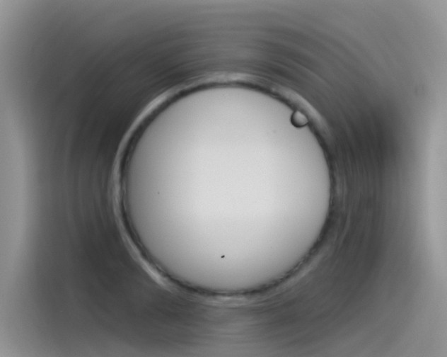 X0000115850894200911131124