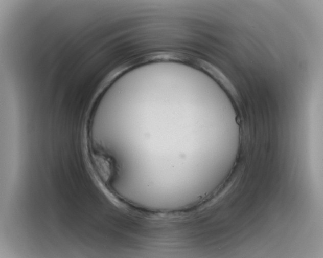 X0000115850898200911131124