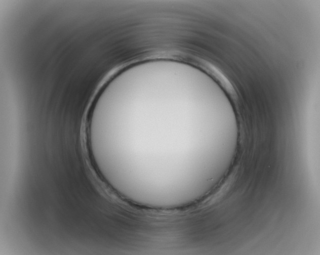 X0000115850899200911131124