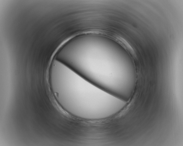 X0000115850900200911131124