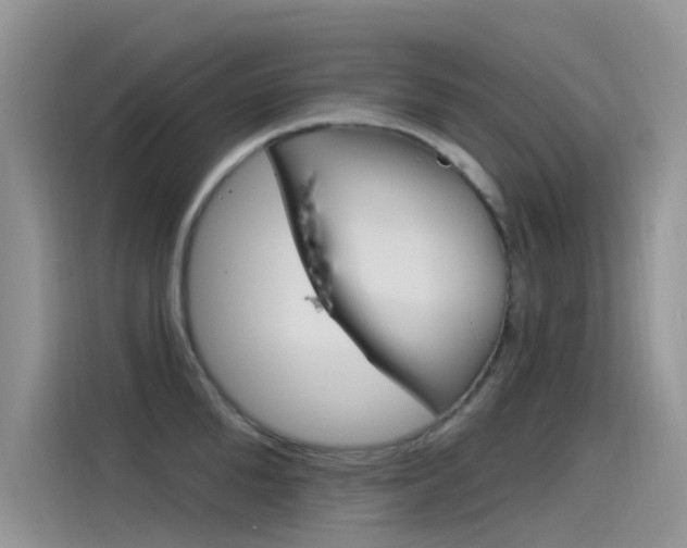 X0000115850904200911131124