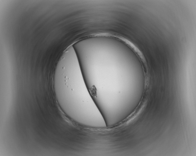 X0000115850905200911131124