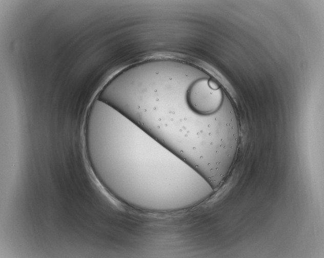 X0000115850906200911131124
