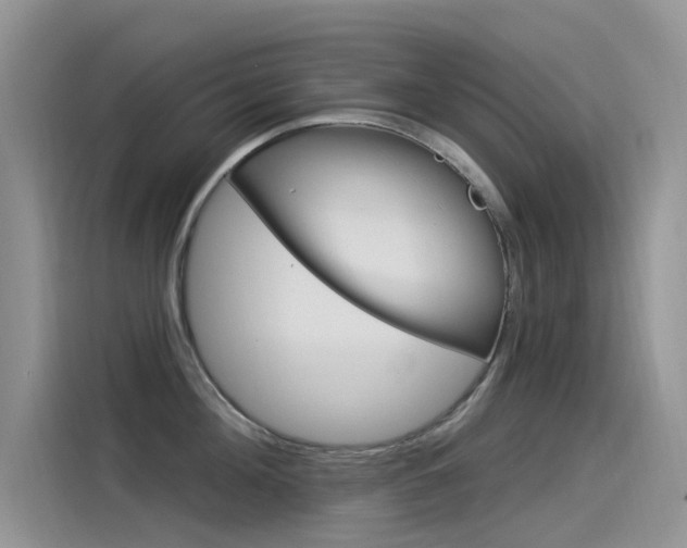 X0000115850908200911131124