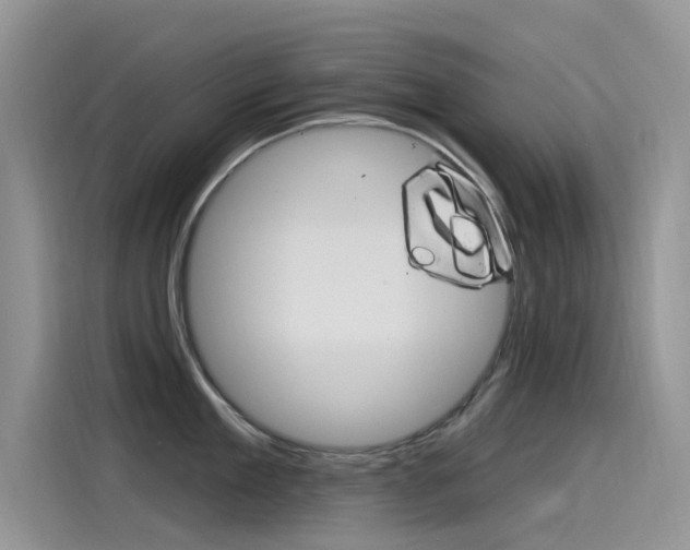 X0000115850909200911131124