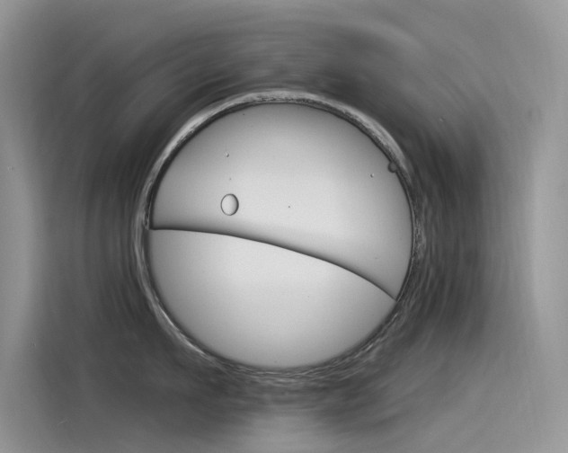 X0000115850911200911131124