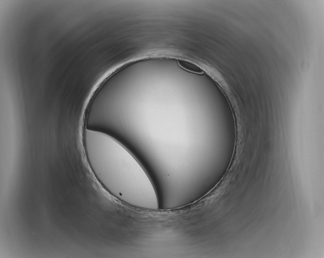 X0000115850912200911131124