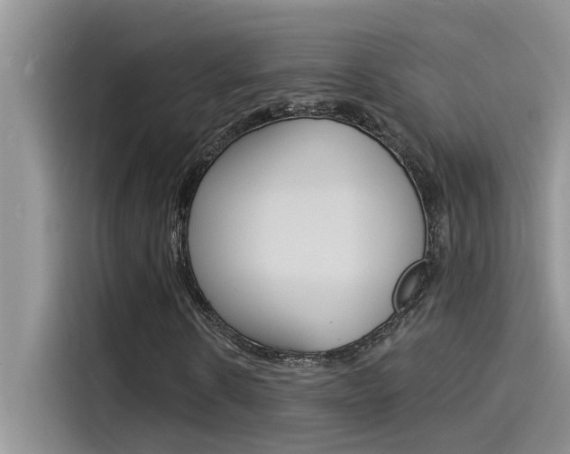 X0000115850914200911131123