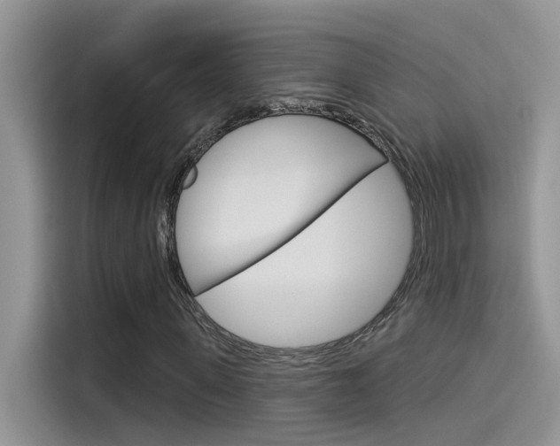 X0000115850915200911131123