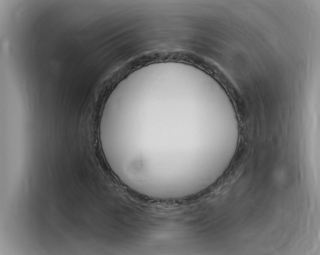 X0000115850919200911131123
