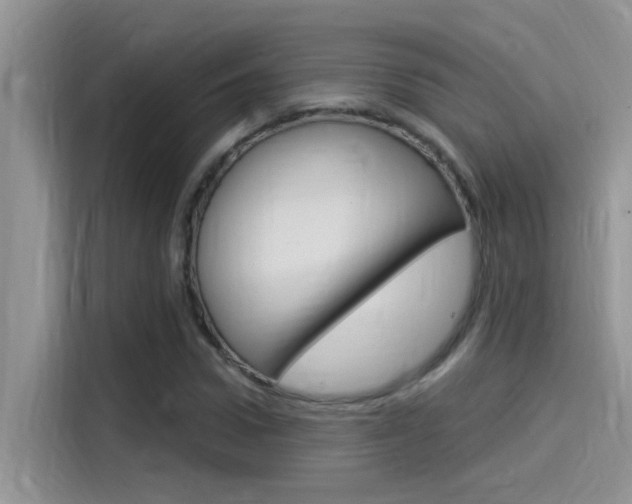 X0000115850922200911131123