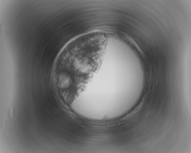 X0000115850923200911131123