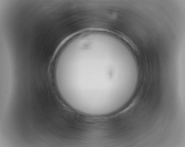 X0000115850926200911131123