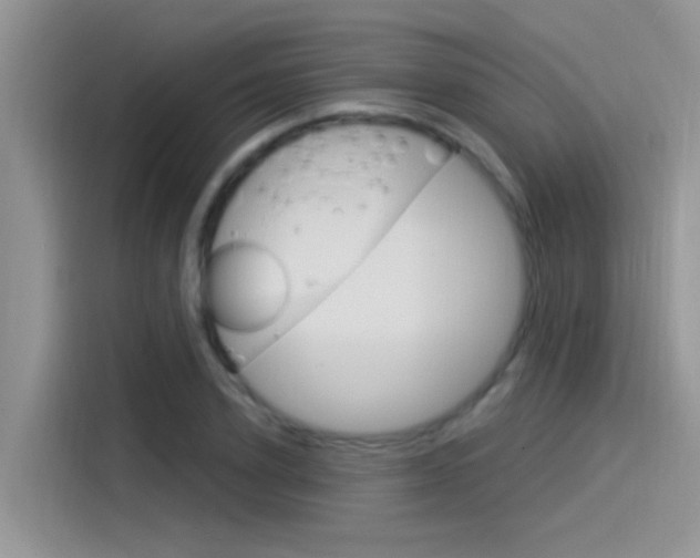 X0000115850931200911131123