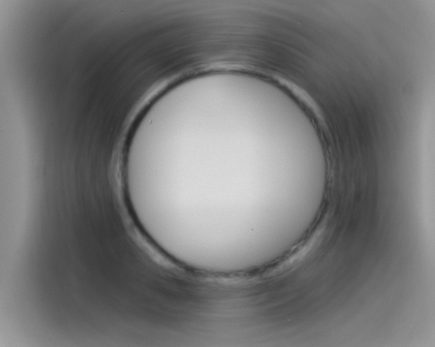 X0000115850941200911131124