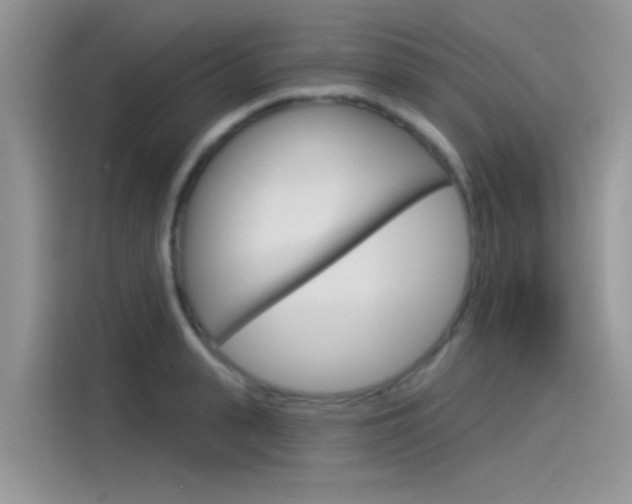 X0000115850943200911131124