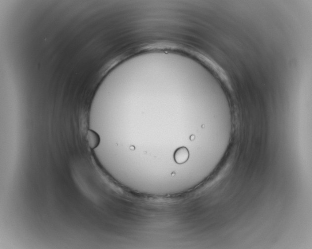 X0000115850945200911131124