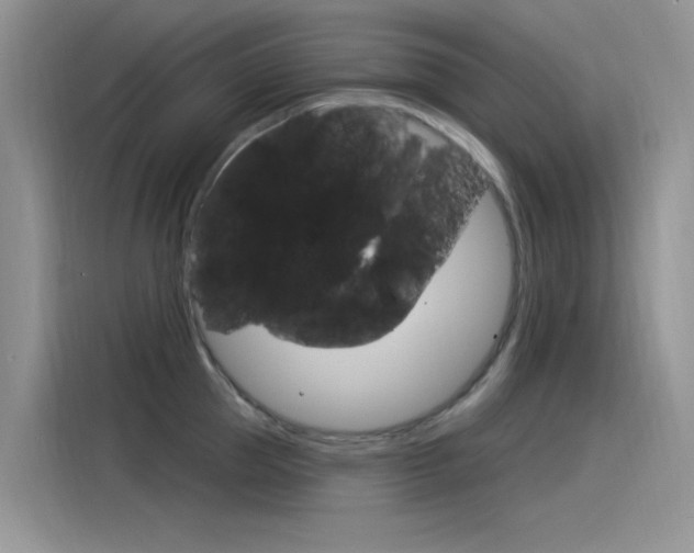 X0000115850953200911131124