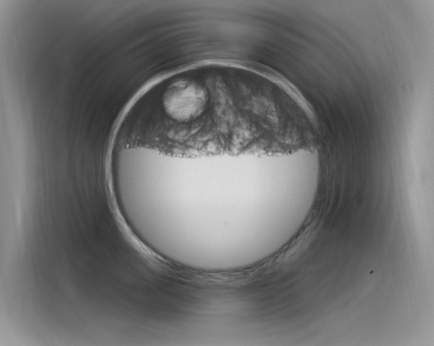 X0000115850955200911131124