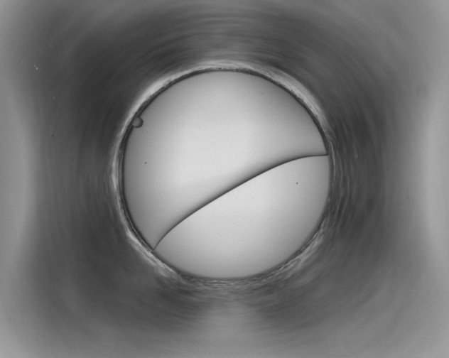 X0000115850958200911131124
