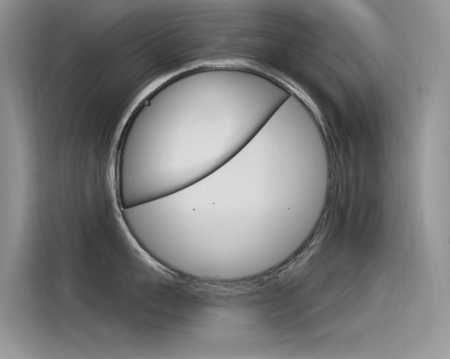 X0000115850959200911131124