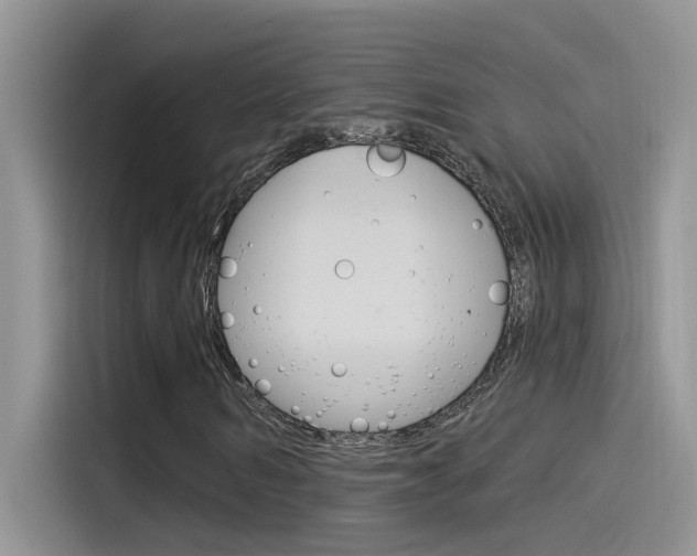 X0000115850962200911131123