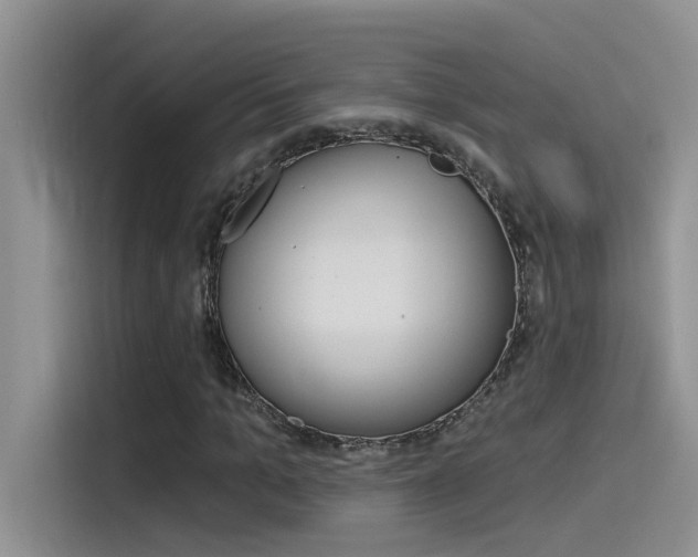 X0000115850965200911131123