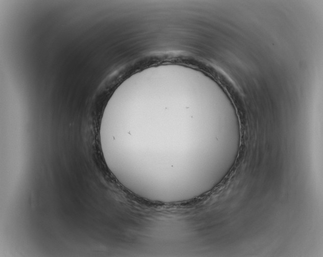 X0000115850967200911131123
