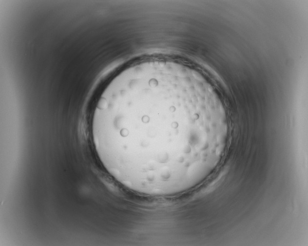 X0000115850974200911131123