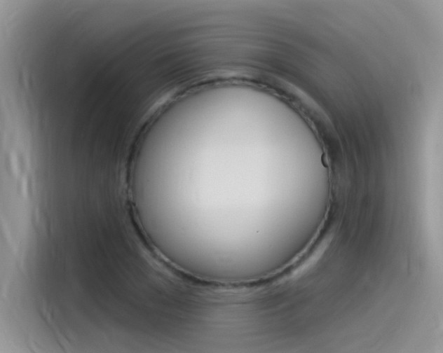 X0000115850977200911131123