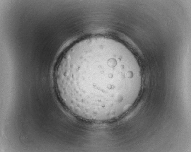 X0000115850978200911131123