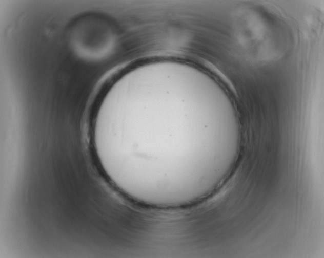 X0000115850979200911131123