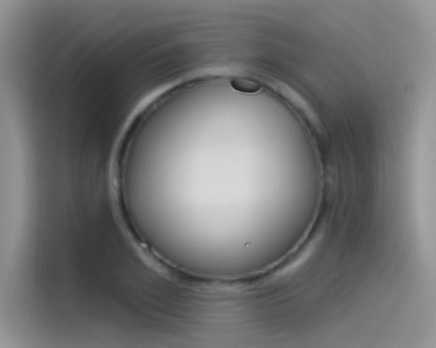 X0000115850981200911131123