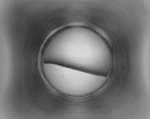 X0000115850984200911131123