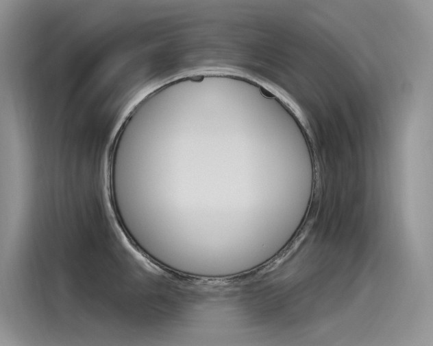 X0000115851006200911131123